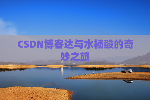 CSDN博客达与水杨酸的奇妙之旅